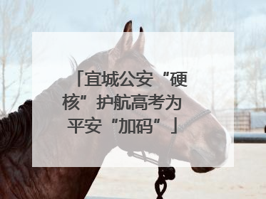 宜城公安“硬核”护航高考为平安“加码”