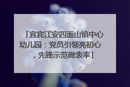 宜宾江安四面山镇中心幼儿园：党员引领亮初心，先锋示范做表率