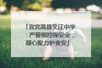 宜宾高县文江中学：严管细控保安全，凝心聚力护食安