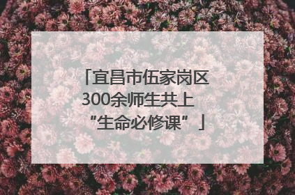 宜昌市伍家岗区300余师生共上“生命必修课”