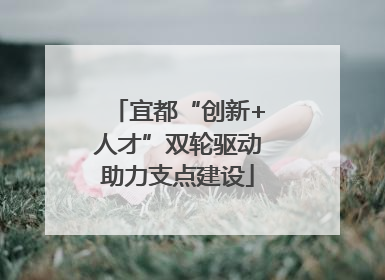 宜都“创新+人才”双轮驱动助力支点建设