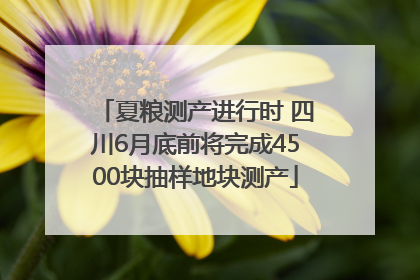 夏粮测产进行时 四川6月底前将完成4500块抽样地块测产