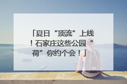 夏日“顶流”上线！石家庄这些公园“荷”你约个会！