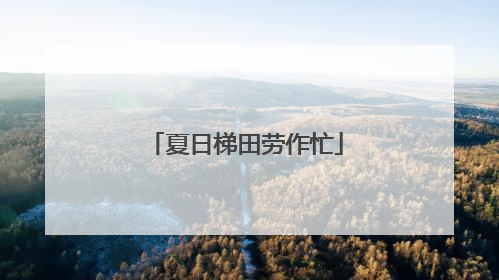 夏日梯田劳作忙