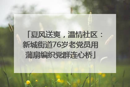 夏风送爽，温情社区：新城街道76岁老党员用蒲扇编织党群连心桥