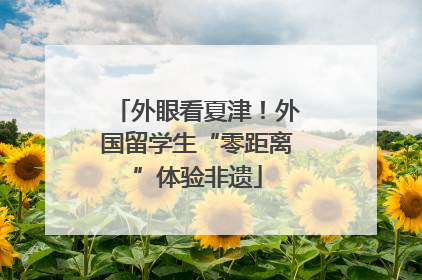 外眼看夏津！外国留学生“零距离”体验非遗