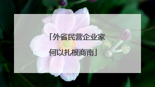 外省民营企业家何以扎根商南
