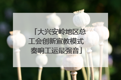 大兴安岭地区总工会创新宣教模式奏响工运最强音