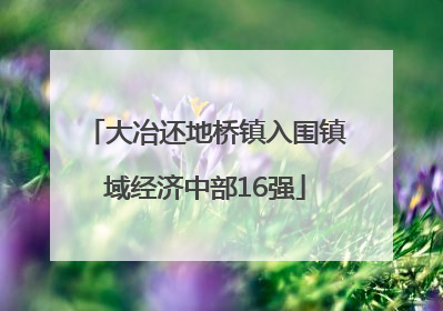 大冶还地桥镇入围镇域经济中部16强