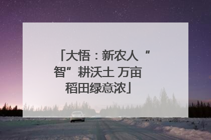 大悟：新农人“智”耕沃土 万亩稻田绿意浓