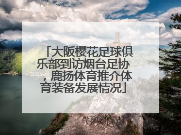 大阪樱花足球俱乐部到访烟台足协，鹿扬体育推介体育装备发展情况