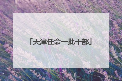天津任命一批干部