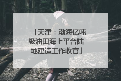 天津：渤海亿吨级油田海上平台陆地建造工作收官