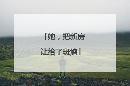 她，把新房让给了斑鸠