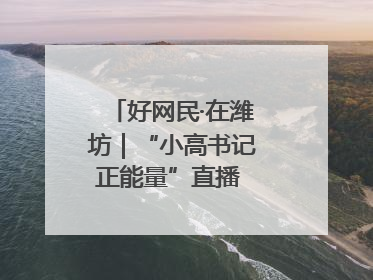 好网民·在潍坊｜“小高书记正能量”直播 带动群众致富
