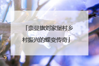 奈曼旗刘家堡村乡村振兴的蝶变传奇