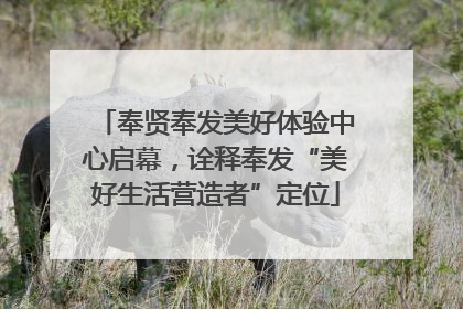 奉贤奉发美好体验中心启幕，诠释奉发“美好生活营造者”定位
