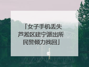 女子手机丢失 芦淞区建宁派出所民警倾力找回