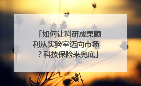如何让科研成果顺利从实验室迈向市场？科技保险来兜底