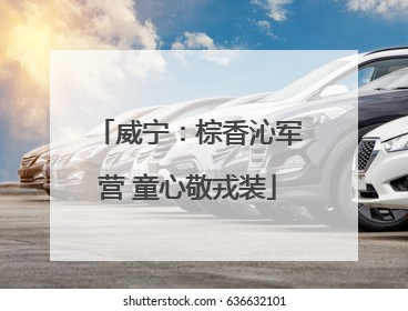 威宁：棕香沁军营 童心敬戎装
