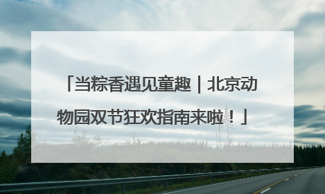 当粽香遇见童趣｜北京动物园双节狂欢指南来啦！