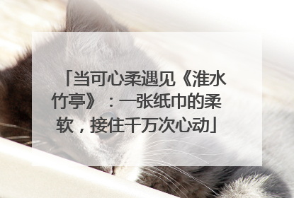 当可心柔遇见《淮水竹亭》：一张纸巾的柔软，接住千万次心动
