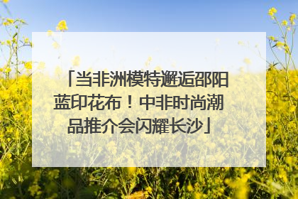 当非洲模特邂逅邵阳蓝印花布！中非时尚潮品推介会闪耀长沙