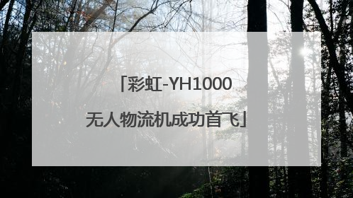 彩虹-YH1000无人物流机成功首飞