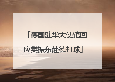德国驻华大使馆回应樊振东赴德打球