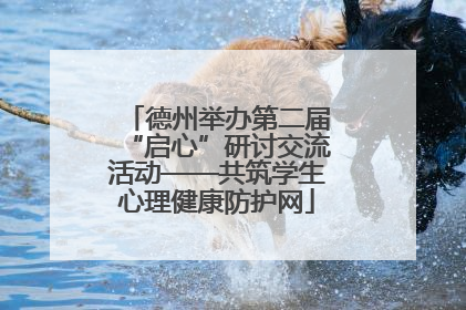 德州举办第二届“启心”研讨交流活动——共筑学生心理健康防护网