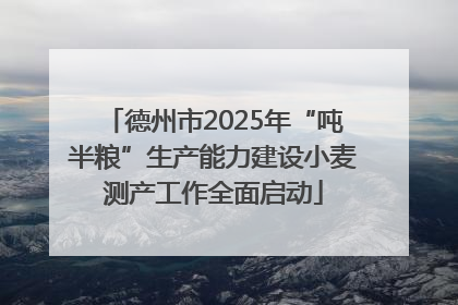德州市2025年“吨半粮”生产能力建设小麦测产工作全面启动
