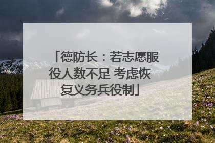 德防长：若志愿服役人数不足 考虑恢复义务兵役制