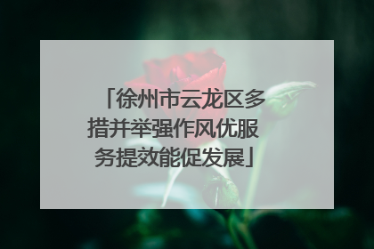 徐州市云龙区多措并举强作风优服务提效能促发展