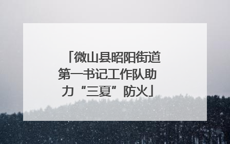 微山县昭阳街道第一书记工作队助力“三夏”防火
