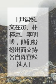 尹锡悦、文在寅、朴槿惠、李明博，他们纷纷出面支持各自阵营候选人