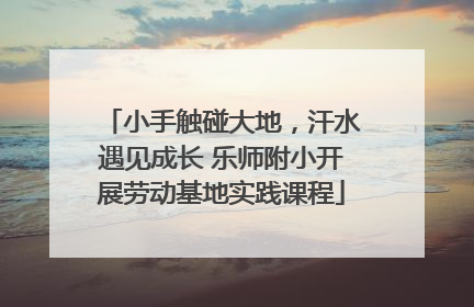 小手触碰大地，汗水遇见成长 乐师附小开展劳动基地实践课程