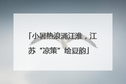 小暑热浪涌江淮，江苏“凉策”绘夏韵
