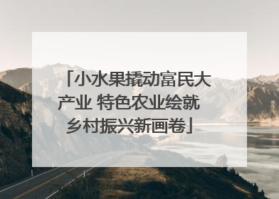 小水果撬动富民大产业 特色农业绘就乡村振兴新画卷
