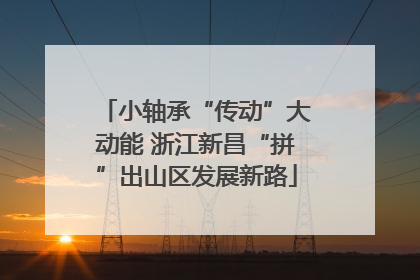 小轴承“传动”大动能 浙江新昌“拼”出山区发展新路