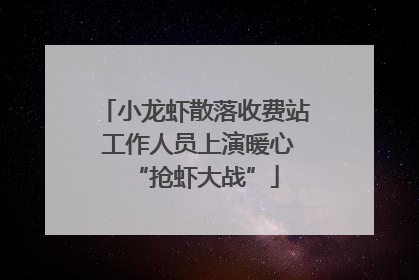 小龙虾散落收费站 工作人员上演暖心“抢虾大战”