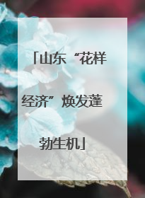 山东“花样经济”焕发蓬勃生机