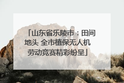 山东省乐陵市：田间地头 全市植保无人机劳动竞赛精彩纷呈
