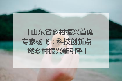 山东省乡村振兴首席专家杨飞：科技创新点燃乡村振兴新引擎
