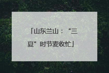 山东兰山：“三夏”时节麦收忙