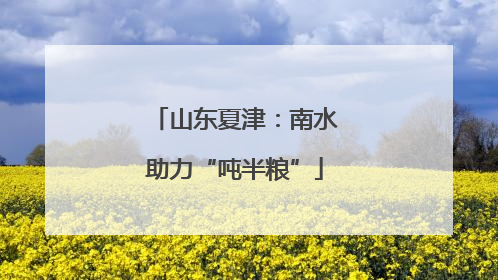 山东夏津：南水助力“吨半粮”