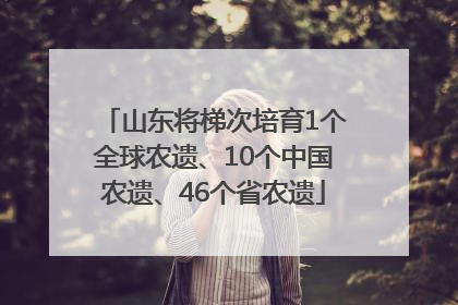 山东将梯次培育1个全球农遗、10个中国农遗、46个省农遗