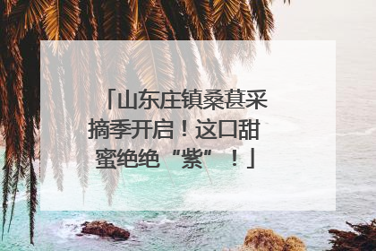 山东庄镇桑葚采摘季开启！这口甜蜜绝绝“紫”！