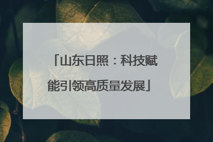 山东日照：科技赋能引领高质量发展