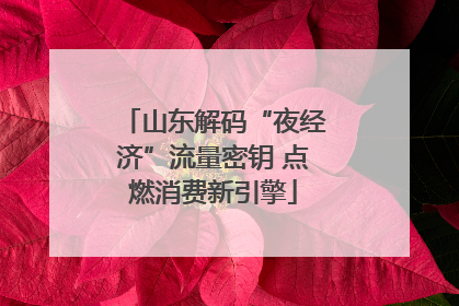 山东解码“夜经济”流量密钥 点燃消费新引擎