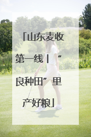 山东麦收第一线丨“良种田”里产好粮